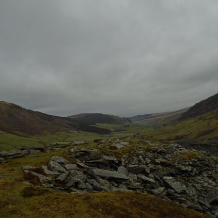 DSC00031(1)