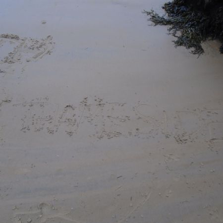 DSC00121(1)