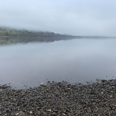 IMG51411)