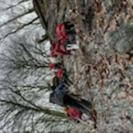 IMG0630