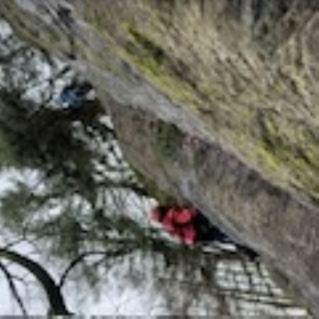 IMG0705